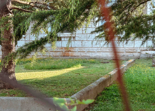 Fotografija 3 - Dobri vrtlar Marko od starog zida u vrtu bolnice napravio skulpturu s cvijećem