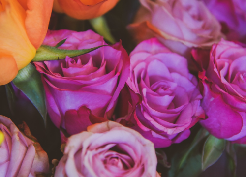 Fotografija 8 - Merci flower&gift shop nudi najljepše cvjetne bukete i asortiman poklona!