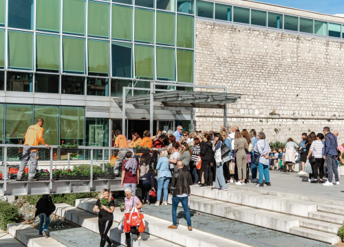 Fotografija 15 - Gužva na Poljani: Šibenčani cvijeće najviše vole kad je besplatno