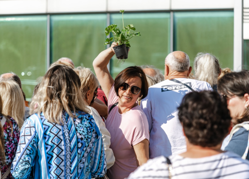 Fotografija 14 - Gužva na Poljani: Šibenčani cvijeće najviše vole kad je besplatno