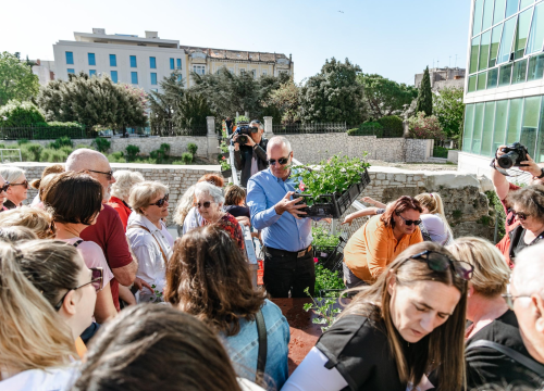 Fotografija 13 - Gužva na Poljani: Šibenčani cvijeće najviše vole kad je besplatno