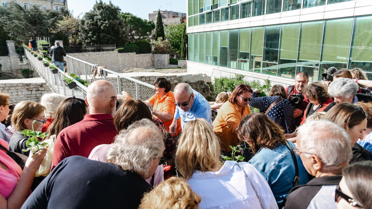 Gužva na Poljani: Šibenčani cvijeće najviše vole kad je besplatno
