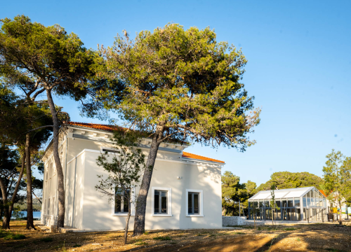 Na šetnici sljedeći tjedan saznajte 'Kako je počela znanost na mom otoku?'