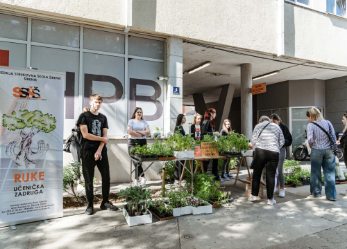 Fotografija 2 - Još sutra će učenici Srednje strukovne škole u Šibeniku prodavati sadnice začinskog bilja i povrća
