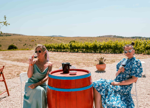 Fotografija 17 - Posjetite lokalne kušaonice vina po čak 50 posto nižim cijenama!