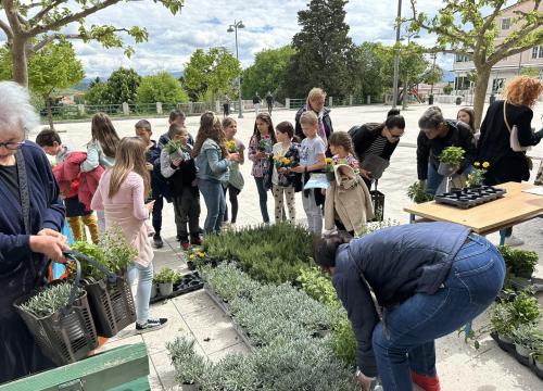 U Drnišu organizirana podjela kompostera i sadnica ljekovitog bilja