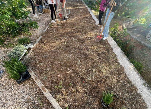 Fotografija 2 - Učenici Ekonomske škole ispred glavnog ulaza posadili sadnice ljekovitog grmlja