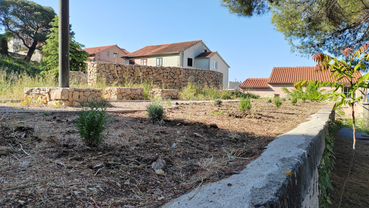 Učenici Ekonomske škole ispred glavnog ulaza posadili sadnice ljekovitog grmlja