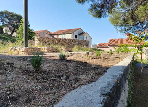 Učenici Ekonomske škole ispred glavnog ulaza posadili sadnice ljekovitog grmlja