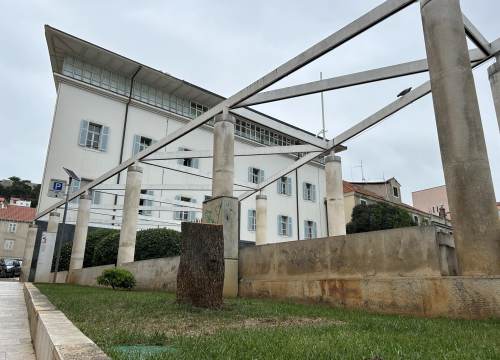 Fotografija 4 - Stablo ispred Gradske uprave kapituliralo pred pilom: 'Počelo se sušiti pa smo uklonili zbog sigurnosti'