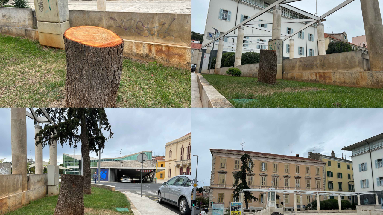 Stablo ispred Gradske uprave kapituliralo pred pilom: 'Počelo se sušiti pa smo uklonili zbog sigurnosti'