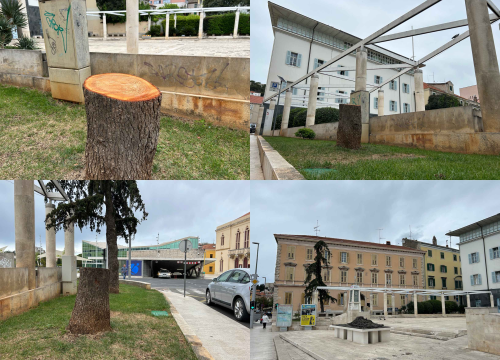 Stablo ispred Gradske uprave kapituliralo pred pilom: 'Počelo se sušiti pa smo uklonili zbog sigurnosti'