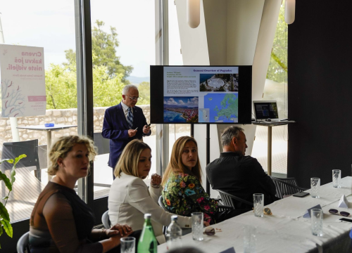 Fotografija 7 - Izaslanstvo albanskog grada Pogradeca u službenom posjetu Šibeniku