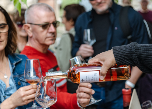 Fotografija 8 - Provjerite kako nam je bilo na manifestaciji Dani otvorenih kušaonica!