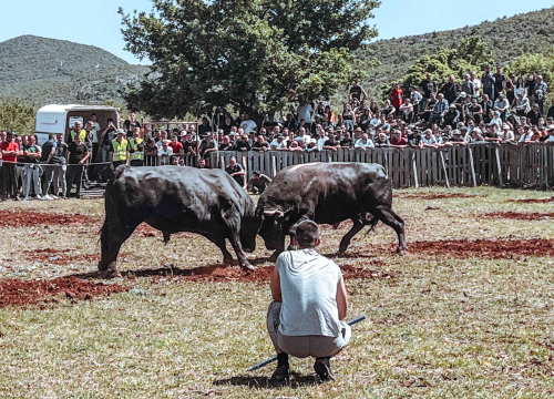 Bili smo na Bikijadi u Nevestu: ‘Željeli smo barem nakratko vratiti život u kraj koji umire’