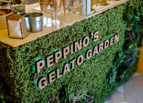 Fotografija 3 - Upotpunite svoj prostor biljnim dekorima visoke kvalitete!