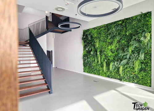 Fotografija 5 - Upotpunite svoj prostor biljnim dekorima visoke kvalitete!