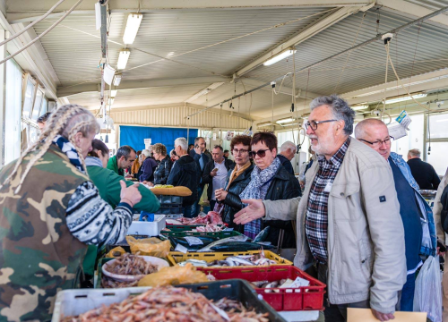 Jedenje inćuna i srdela umjesto crvenog mesa spasilo bi 750 tisuća života do 2050. godine