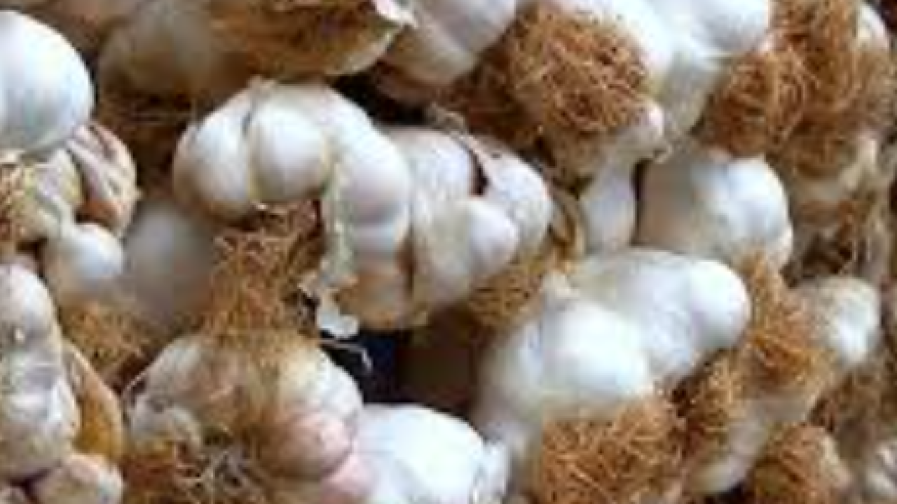 Recept za marinadu koja radi čuda s piletinom, svinjetinom, tikvicama i tofuom