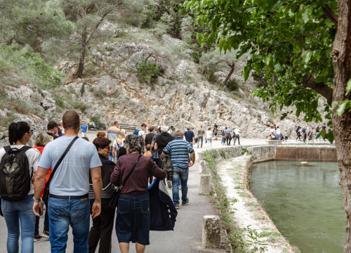 Fotografija 3 - Podijeljeno tisuću sadnica lavande i lovora: 'Želimo očuvati naše ekosustave i poticati bioraznolikost'