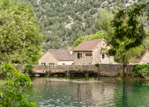 Fotografija 4 - Podijeljeno tisuću sadnica lavande i lovora: 'Želimo očuvati naše ekosustave i poticati bioraznolikost'