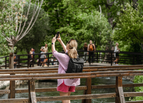 Fotografija 7 - Podijeljeno tisuću sadnica lavande i lovora: 'Želimo očuvati naše ekosustave i poticati bioraznolikost'