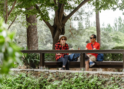 Fotografija 6 - Podijeljeno tisuću sadnica lavande i lovora: 'Želimo očuvati naše ekosustave i poticati bioraznolikost'