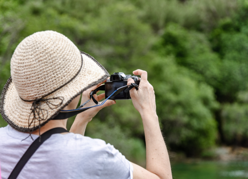 Fotografija 8 - Podijeljeno tisuću sadnica lavande i lovora: 'Želimo očuvati naše ekosustave i poticati bioraznolikost'