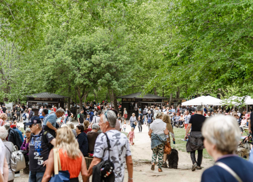 Fotografija 14 - Podijeljeno tisuću sadnica lavande i lovora: 'Želimo očuvati naše ekosustave i poticati bioraznolikost'