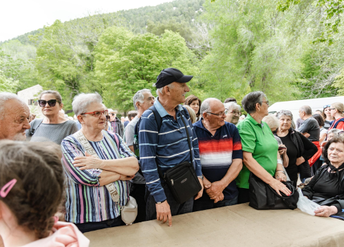 Fotografija 20 - Podijeljeno tisuću sadnica lavande i lovora: 'Želimo očuvati naše ekosustave i poticati bioraznolikost'