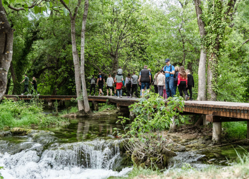 Fotografija 33 - Podijeljeno tisuću sadnica lavande i lovora: 'Želimo očuvati naše ekosustave i poticati bioraznolikost'