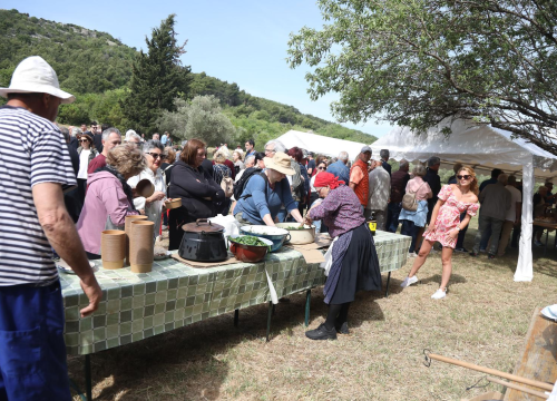TZ grada Vodica i ove godine organizirao piknik u Rakitnici
