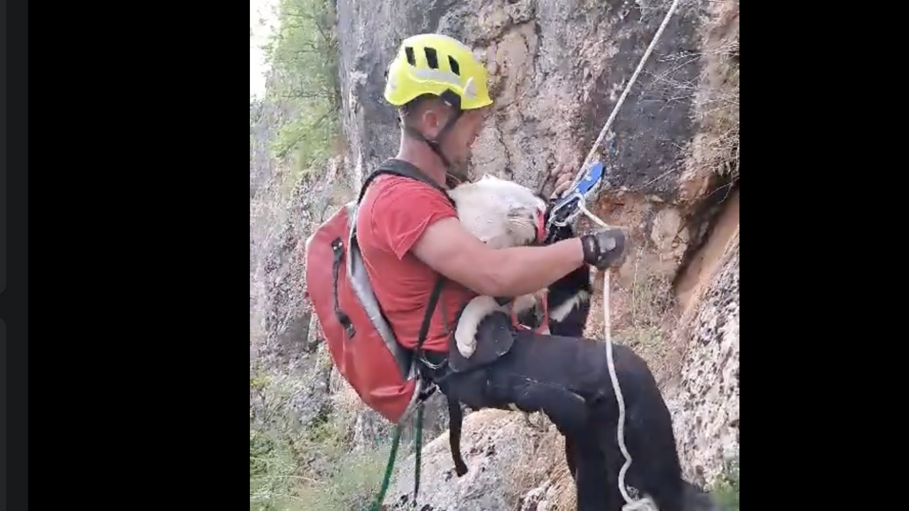 Zabrinuti pogled i čvrsto stisnute šapice: Šibenski HGSS spasio psića u Biskupiji