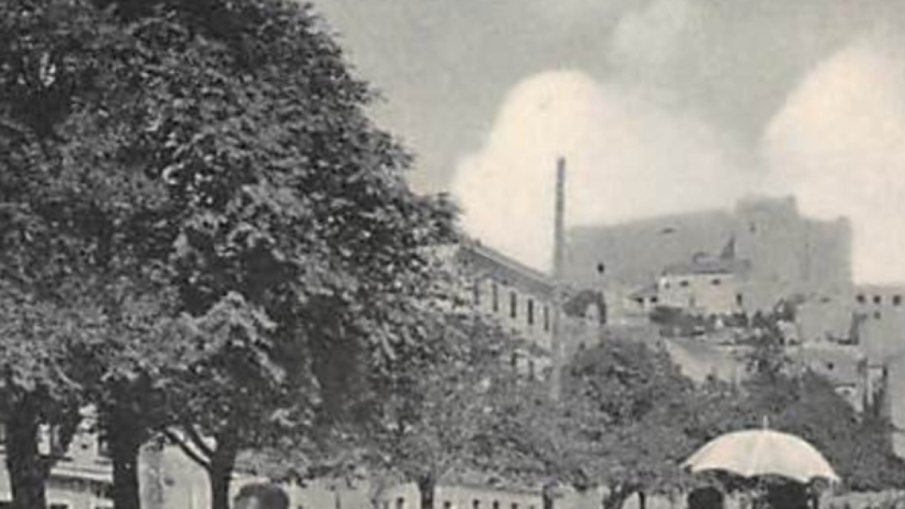 Šibenski leksikon: Ko izgubi u kartama, sviman plaća litru