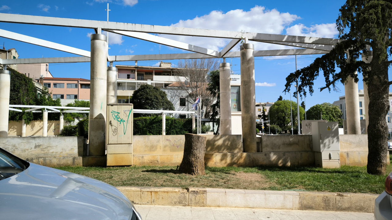 Bira se šibenski panj godine: Provjerite kako stoji trenutni poredak, a glasati možete do sutra u ponoć