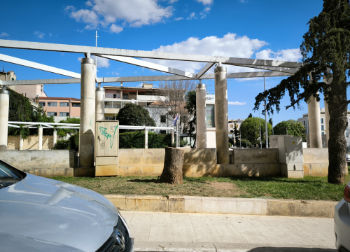 Bira se šibenski panj godine: Provjerite kako stoji trenutni poredak, a glasati možete do sutra u ponoć