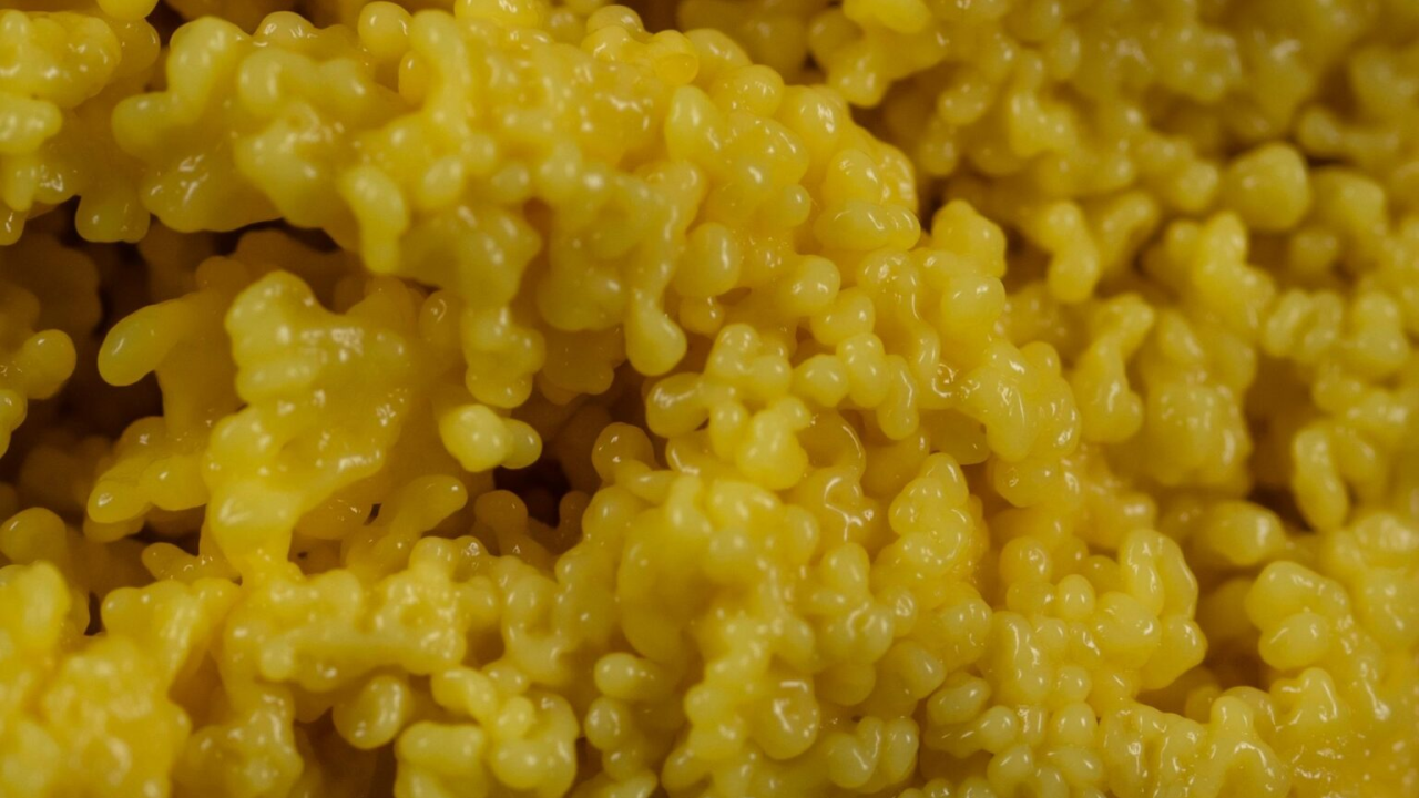 Zaboravljena žitarica čuva srce, jača kosti, a odlična je i za mršavljenje