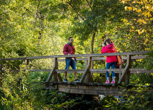 Fotografija 9 - Razglednice s Krke: fotografija kao najljepši suvenir i slika koja putuje svijetom