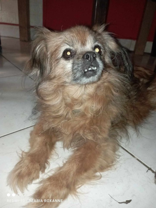 Provjerite tko su naj ljubimci 2024. godine!