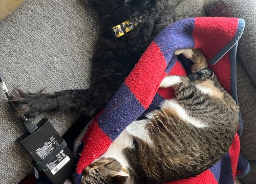 Fotografija 214 - Provjerite tko su naj ljubimci 2024. godine!