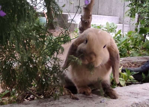 Fotografija 17 - Provjerite tko su naj ljubimci 2024. godine!