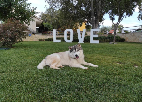 Fotografija 30 - Provjerite tko su naj ljubimci 2024. godine!