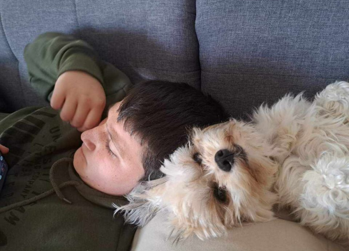 Fotografija 34 - Provjerite tko su naj ljubimci 2024. godine!