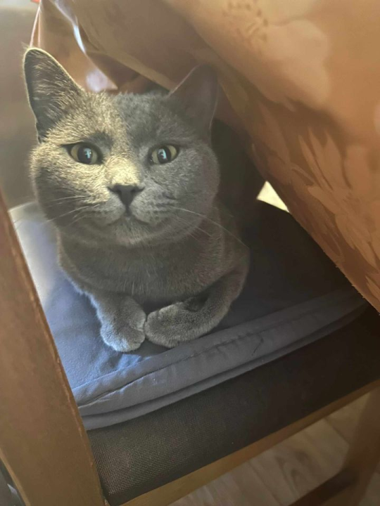 Provjerite tko su naj ljubimci 2024. godine!