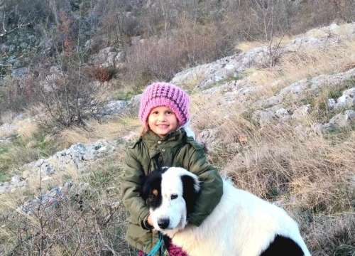 Fotografija 45 - Provjerite tko su naj ljubimci 2024. godine!