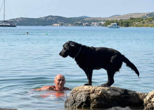 Fotografija 52 - Provjerite tko su naj ljubimci 2024. godine!