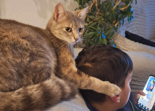 Fotografija 78 - Provjerite tko su naj ljubimci 2024. godine!