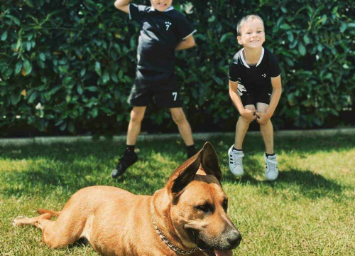 Fotografija 89 - Provjerite tko su naj ljubimci 2024. godine!