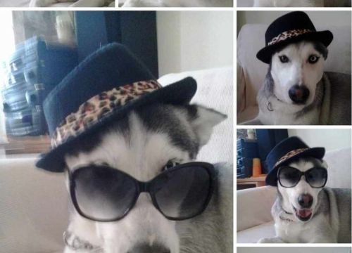 Fotografija 101 - Provjerite tko su naj ljubimci 2024. godine!