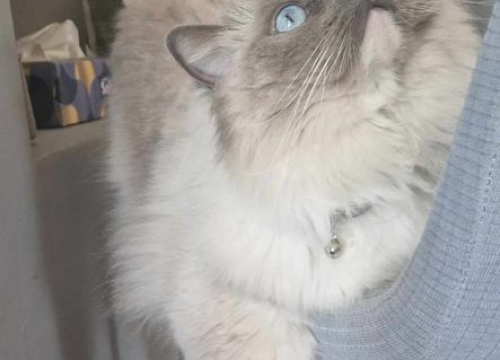 Fotografija 222 - Provjerite tko su naj ljubimci 2024. godine!